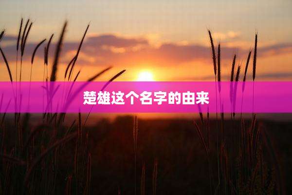 楚雄这个名字的由来