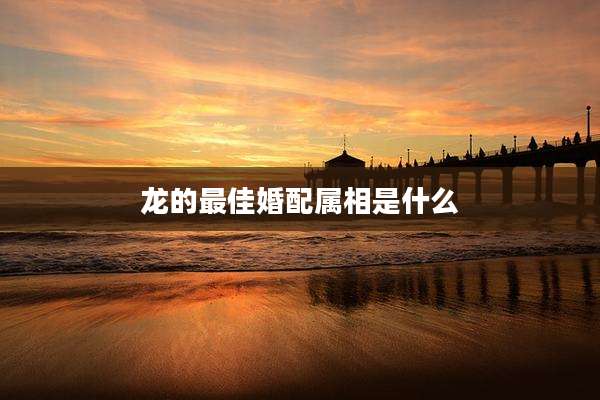 龙的最佳婚配属相是什么