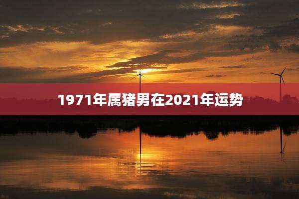 1971年属猪男在2021年运势