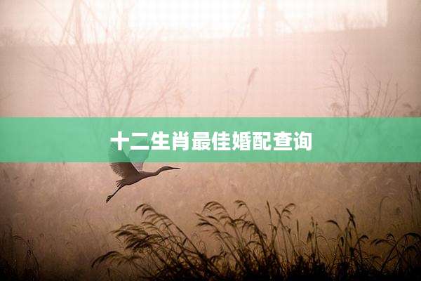 十二生肖最佳婚配查询
