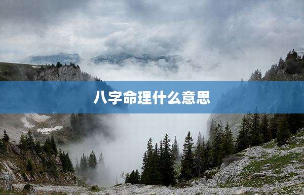 八字命理什么意思