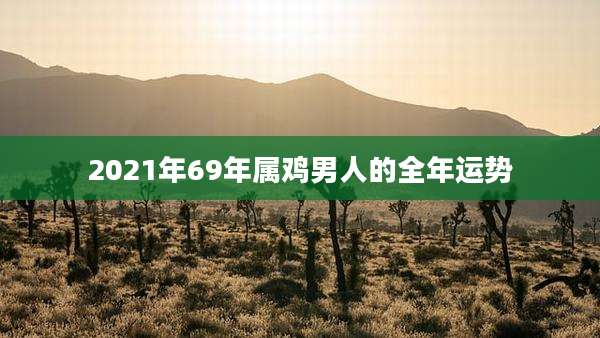 2021年69年属鸡男人的全年运势