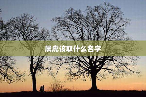 属虎该取什么名字