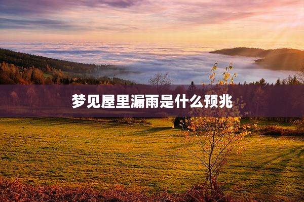 梦见屋里漏雨是什么预兆