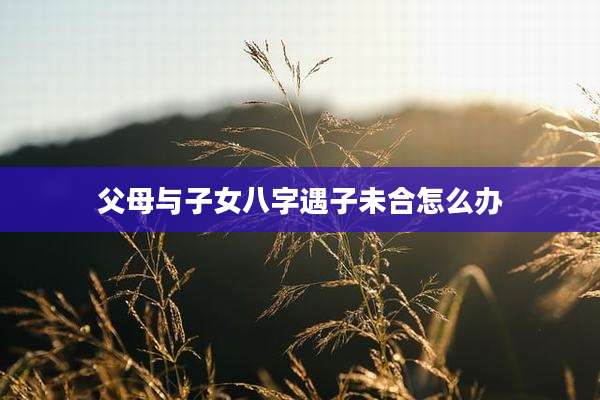父母与子女八字遇子未合怎么办