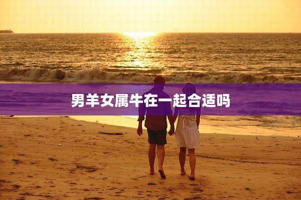 男羊女属牛在一起合适吗