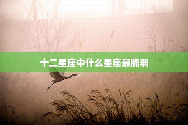 十二星座中什么星座最脆弱