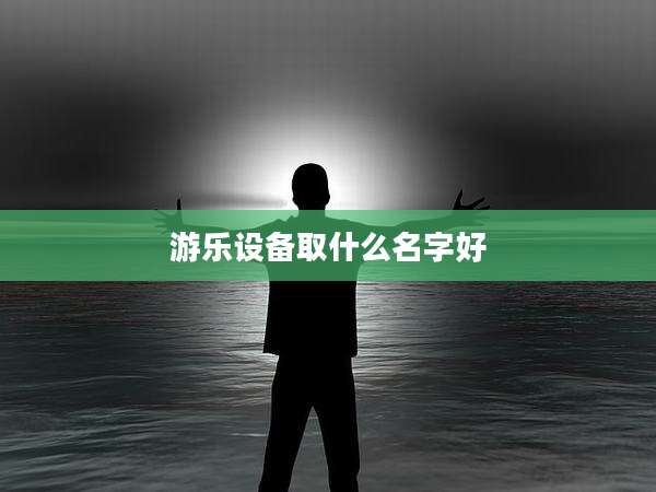游乐设备取什么名字好