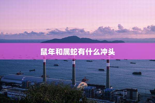 鼠年和属蛇有什么冲头