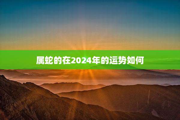 属蛇的在2024年的运势如何