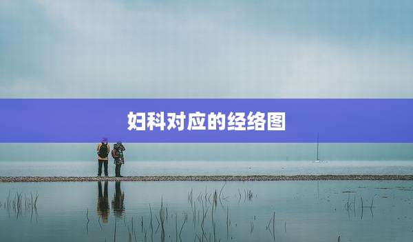 妇科对应的经络图