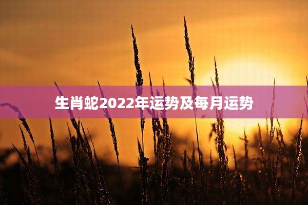生肖蛇2022年运势及每月运势