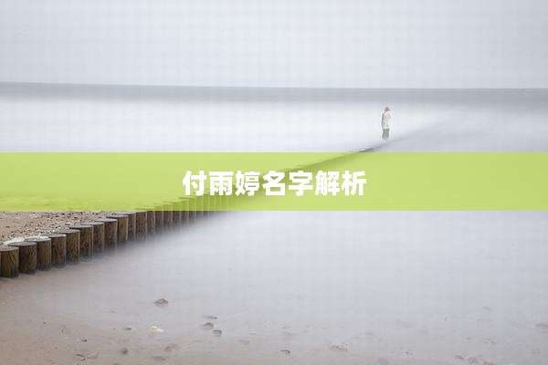 付雨婷名字解析