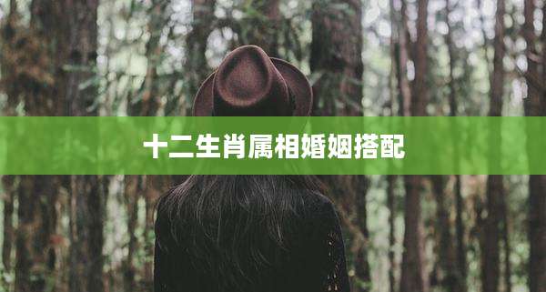 十二生肖属相婚姻搭配