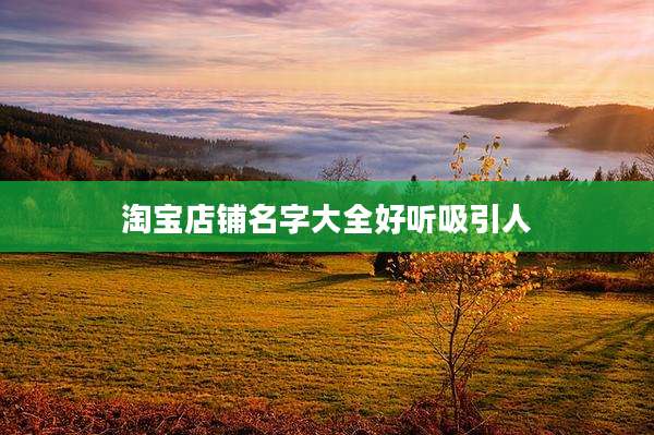 淘宝店铺名字大全好听吸引人
