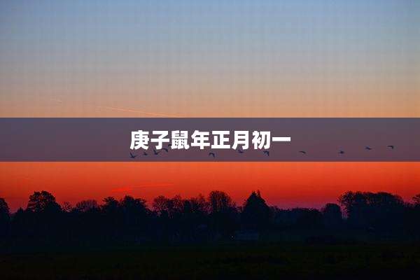 庚子鼠年正月初一