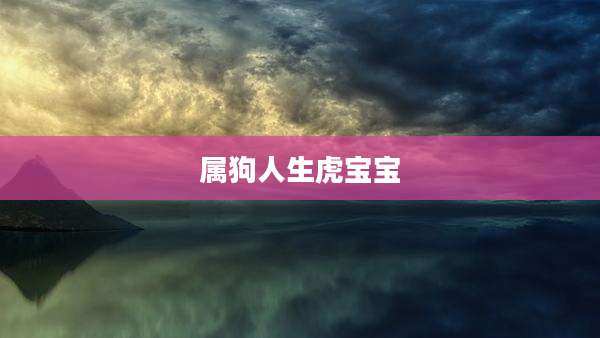 属狗人生虎宝宝