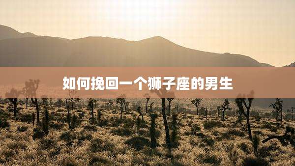 如何挽回一个狮子座的男生