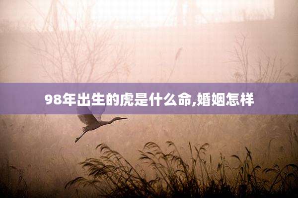 98年出生的虎是什么命,婚姻怎样