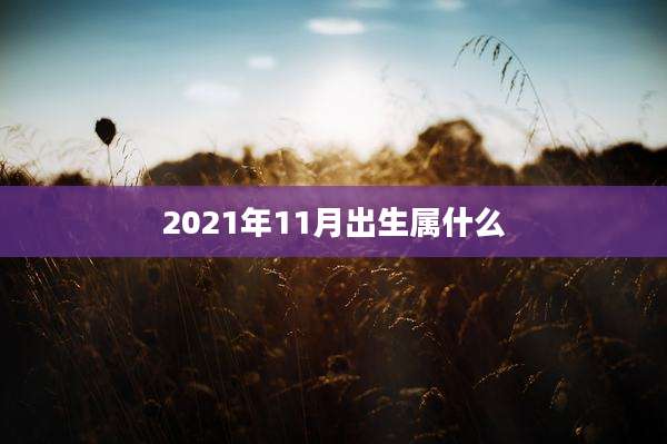 2021年11月出生属什么