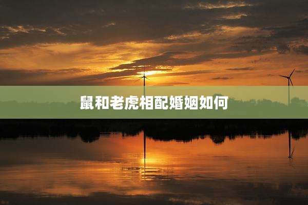 鼠和老虎相配婚姻如何