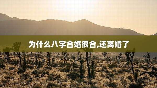 为什么八字合婚很合,还离婚了