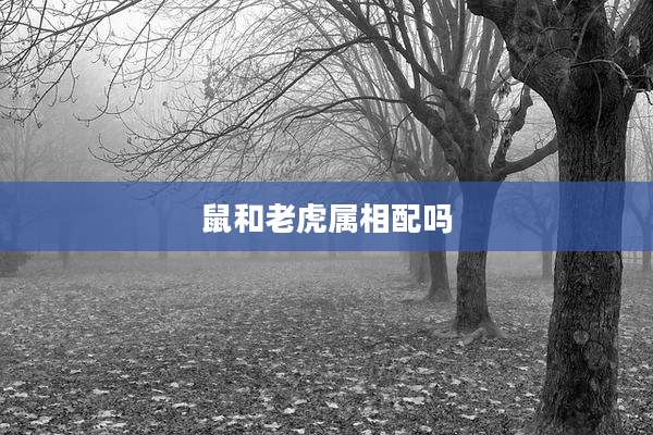 鼠和老虎属相配吗