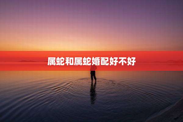 属蛇和属蛇婚配好不好