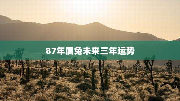 87年属兔未来三年运势