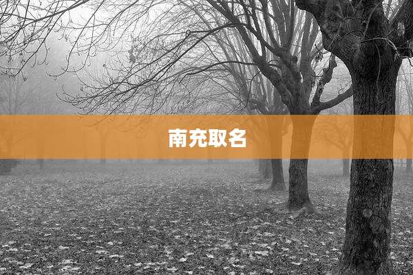南充取名