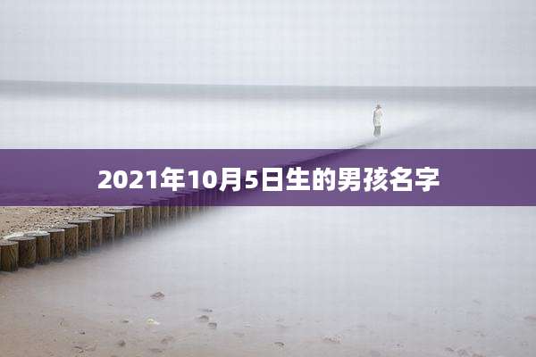 2021年10月5日生的男孩名字