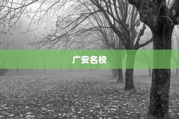 广安名校