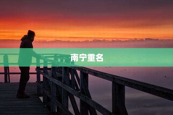 南宁重名