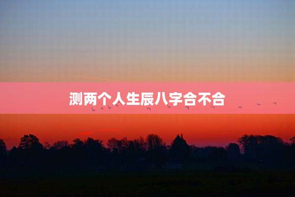 测两个人生辰八字合不合