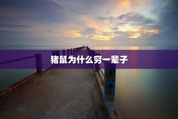猪鼠为什么穷一辈子