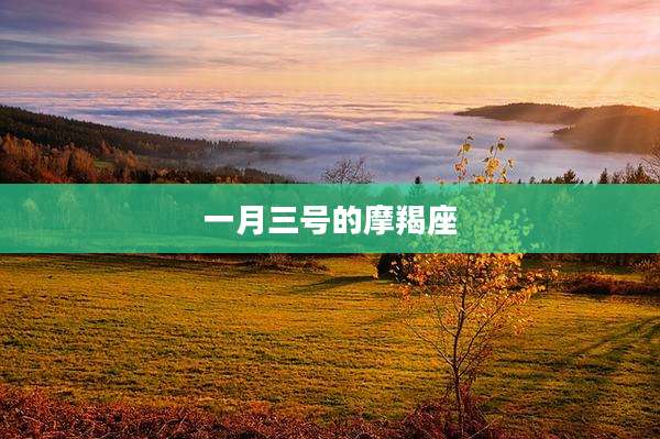 一月三号的摩羯座