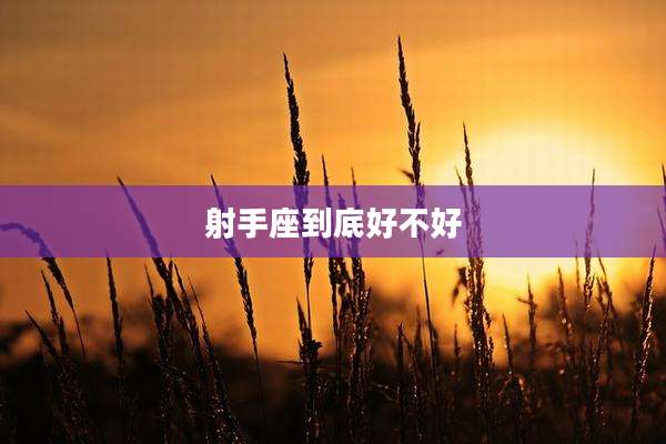 射手座到底好不好