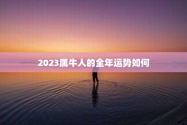 2023属牛人的全年运势如何