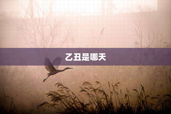 乙丑是哪天
