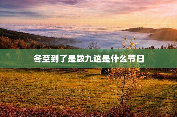 冬至到了是数九这是什么节日