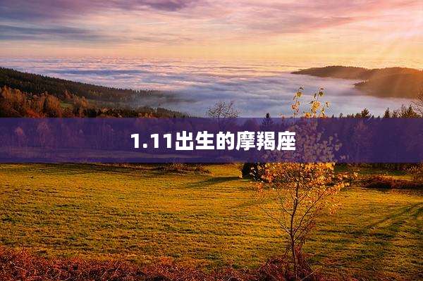 1.11出生的摩羯座