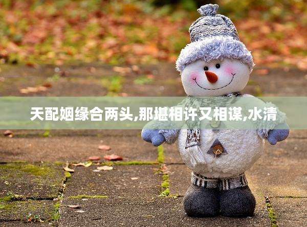 天配姻缘合两头,那堪相许又相谋,水清