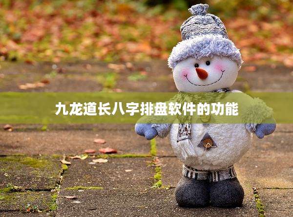 九龙道长八字排盘软件的功能