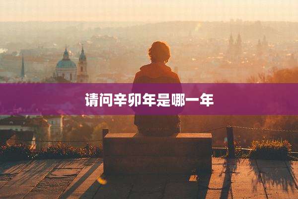 请问辛卯年是哪一年
