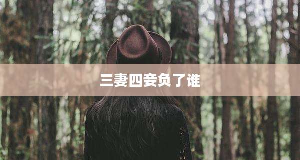 三妻四妾负了谁