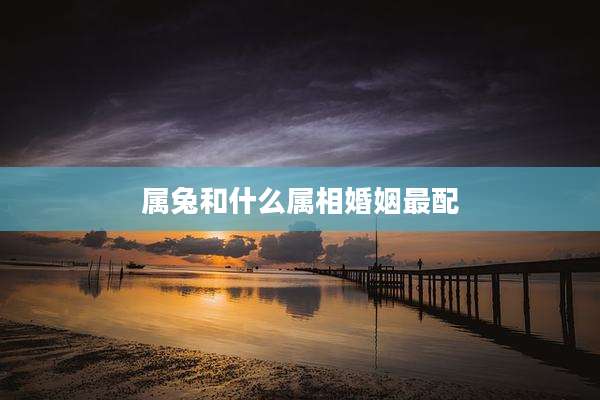 属兔和什么属相婚姻最配