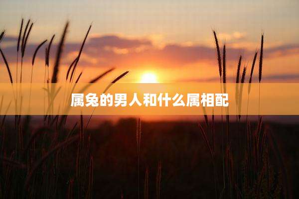 属兔的男人和什么属相配