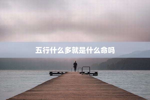 五行什么多就是什么命吗