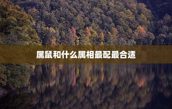 属鼠和什么属相最配最合适