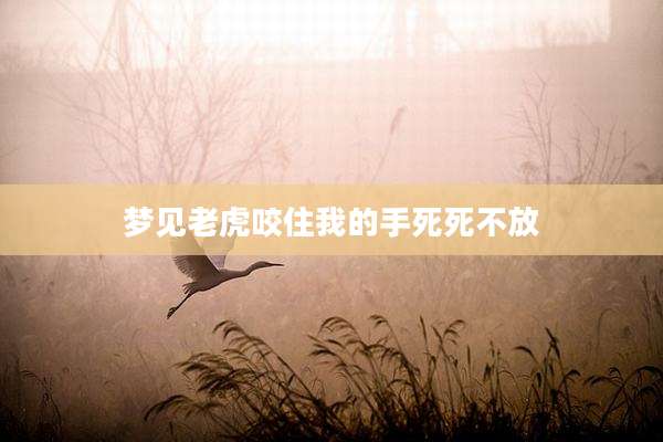 梦见老虎咬住我的手死死不放